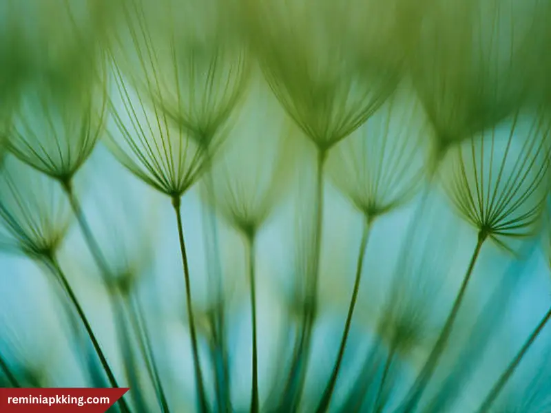 Abstract Photography: A Beginner’s Guide to Creative Shots 7 Light and Shadow