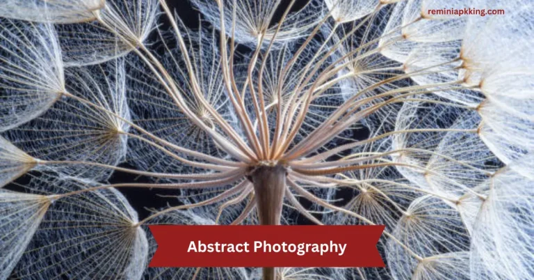 Abstract Photography