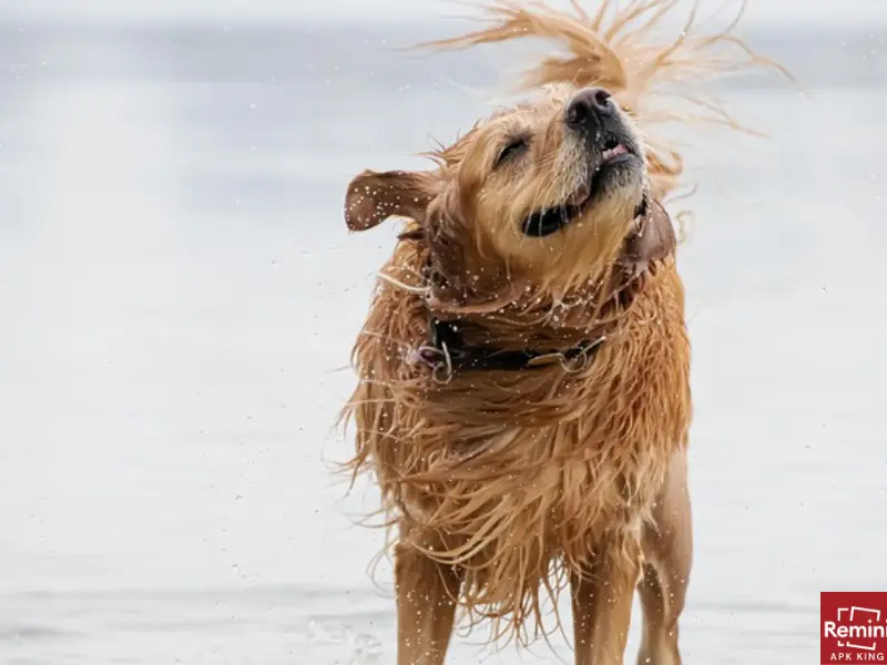 6 Reasons Why You're Getting Blurry Photos 2 Camera Shake