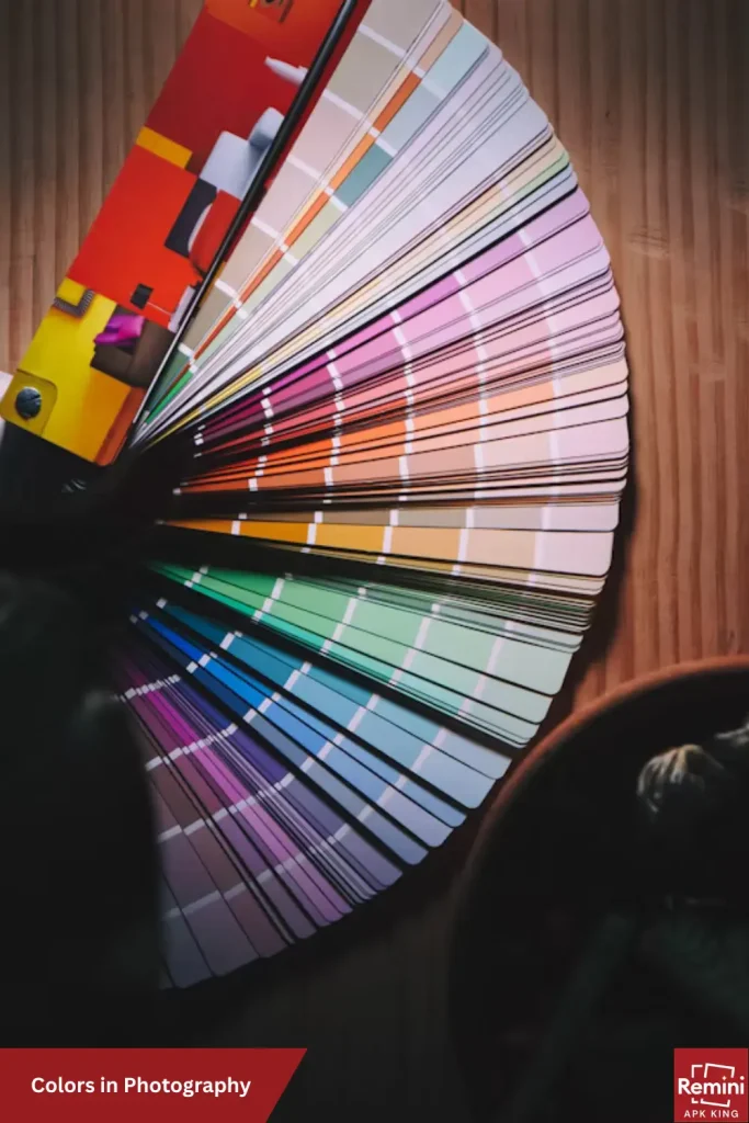 Why Photography Is Important? 3 Colors in Photography