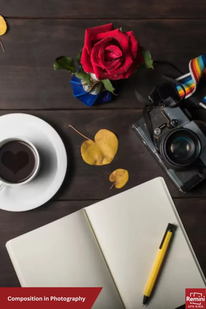 Why Photography Is Important? 4 Composition in Photography