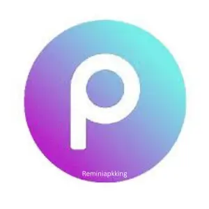 Home 49 PicsArt Logo