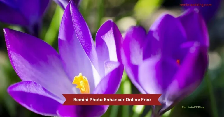 Remini Photo Enhancer Online Free