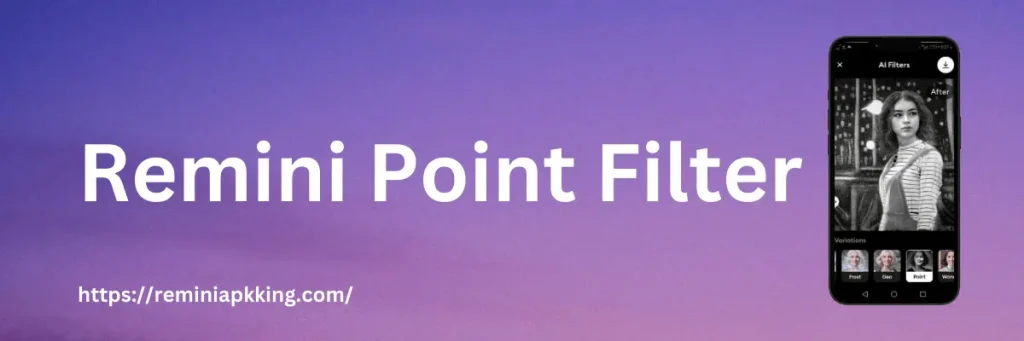 Remini Point Filter - Banner Image