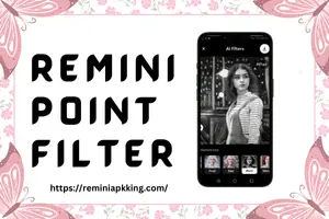 Remini Point Filter - Featured Image