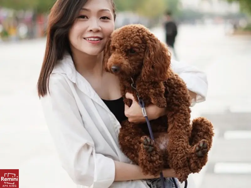 How To Take Beautiful Portraits Of Your Pets 6 girl with small red puppy in her lap