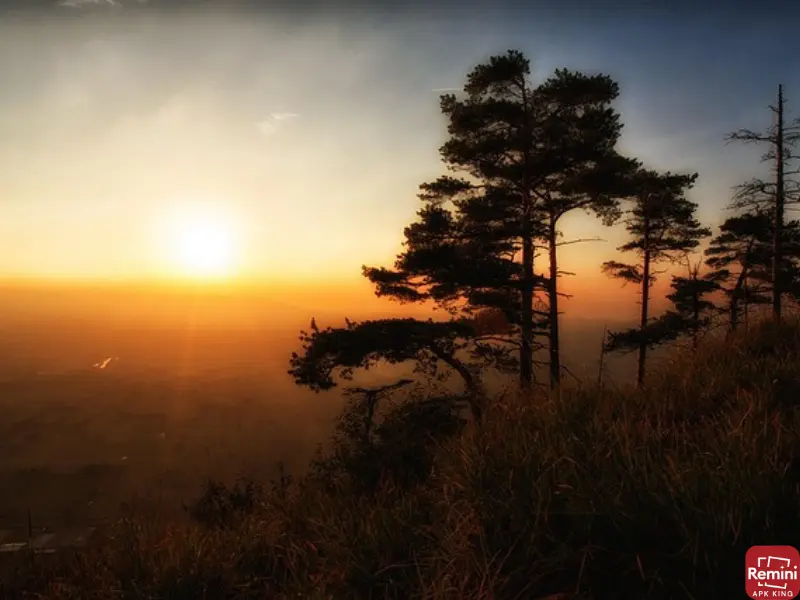 Tips for Stunning Sunset Photos 7 sunset at fields